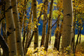 Digital product- Nature Photography Course for Beginners